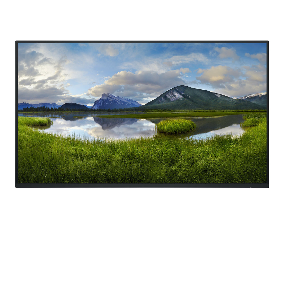 DELL P Series P2725H_WOST - 68.6 cm (27&quot;) 1920 x 1080 pixels Full HD LCD Monitor (No Stand)