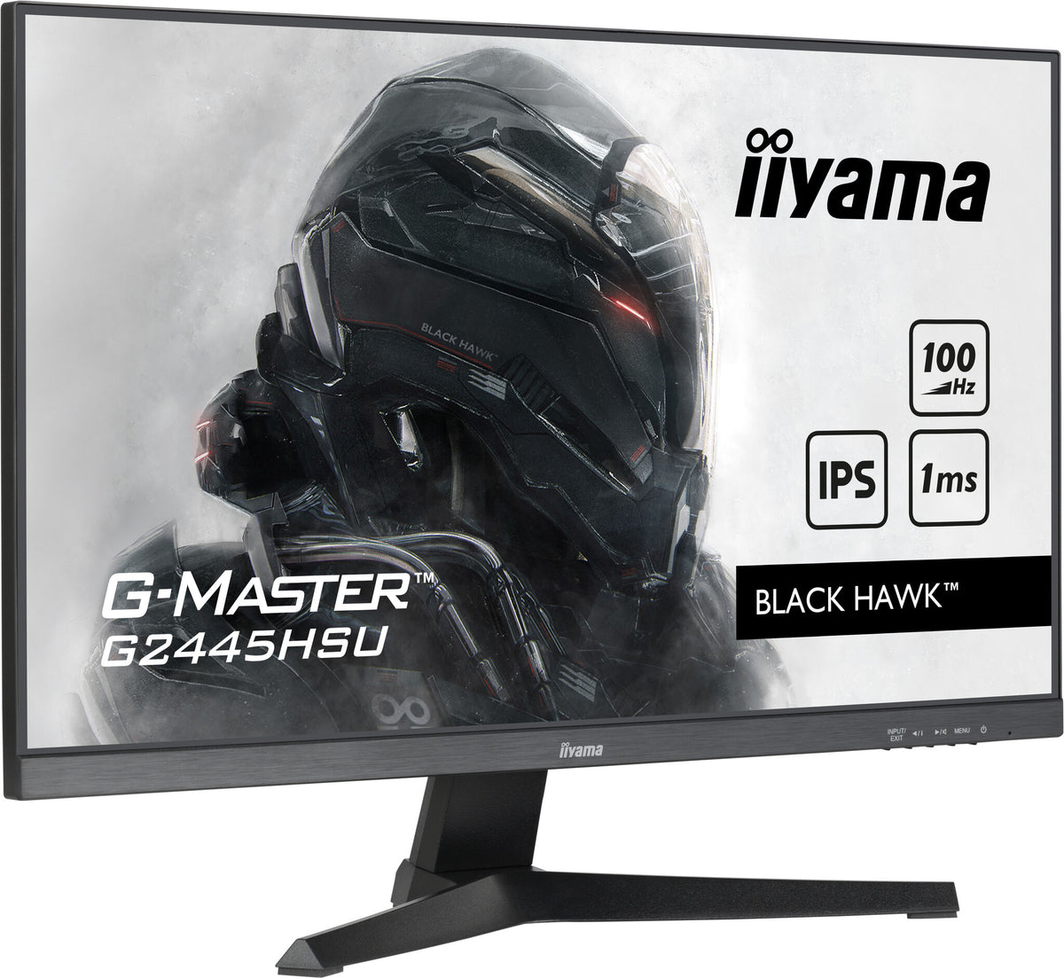 iiyama G-MASTER G2445HSU-B1 - 61 cm (24&quot;) - 1920 x 1080 pixels FHD LED Monitor