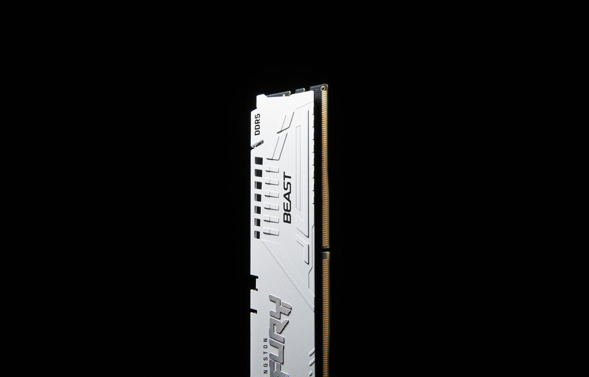 Kingston Technology FURY Beast White XMP - 16 GB 1 x 16 GB 5200MT/s DDR5 memory module