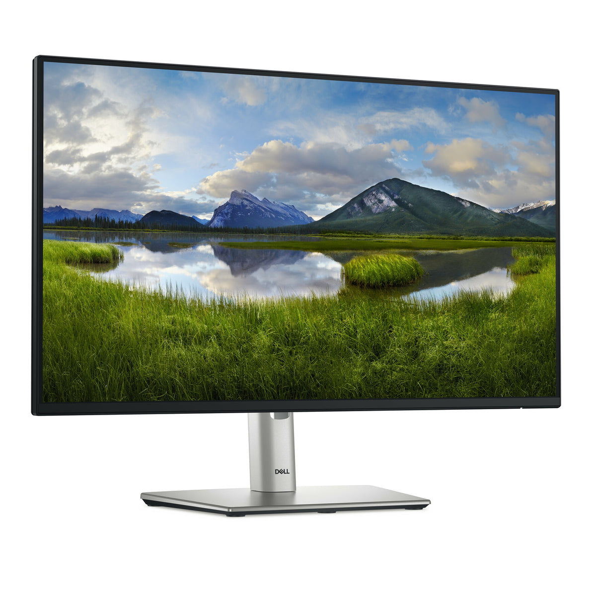 DELL P Series P2425HE - 60.5 cm (23.8&quot;) - 1920 x 1080 pixels Full HD LCD Monitor