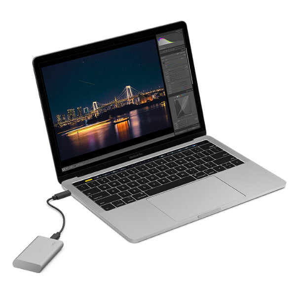 LaCie Portable - USB Type-C External SSD in Silver - 1 TB