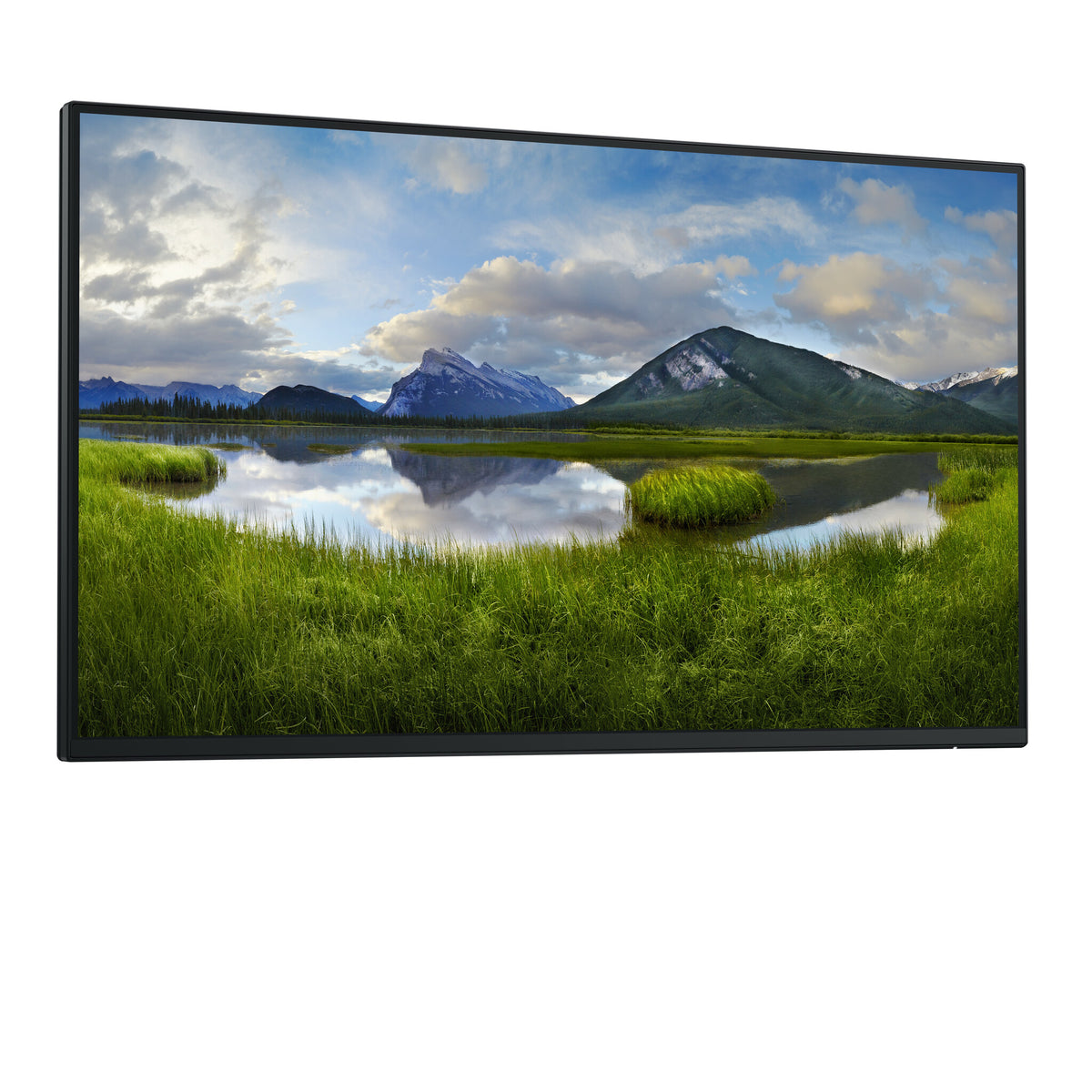 DELL P Series P2425HE_WOST - 61 cm (24&quot;) - 1920 x 1080 pixels Full HD LCD Monitor