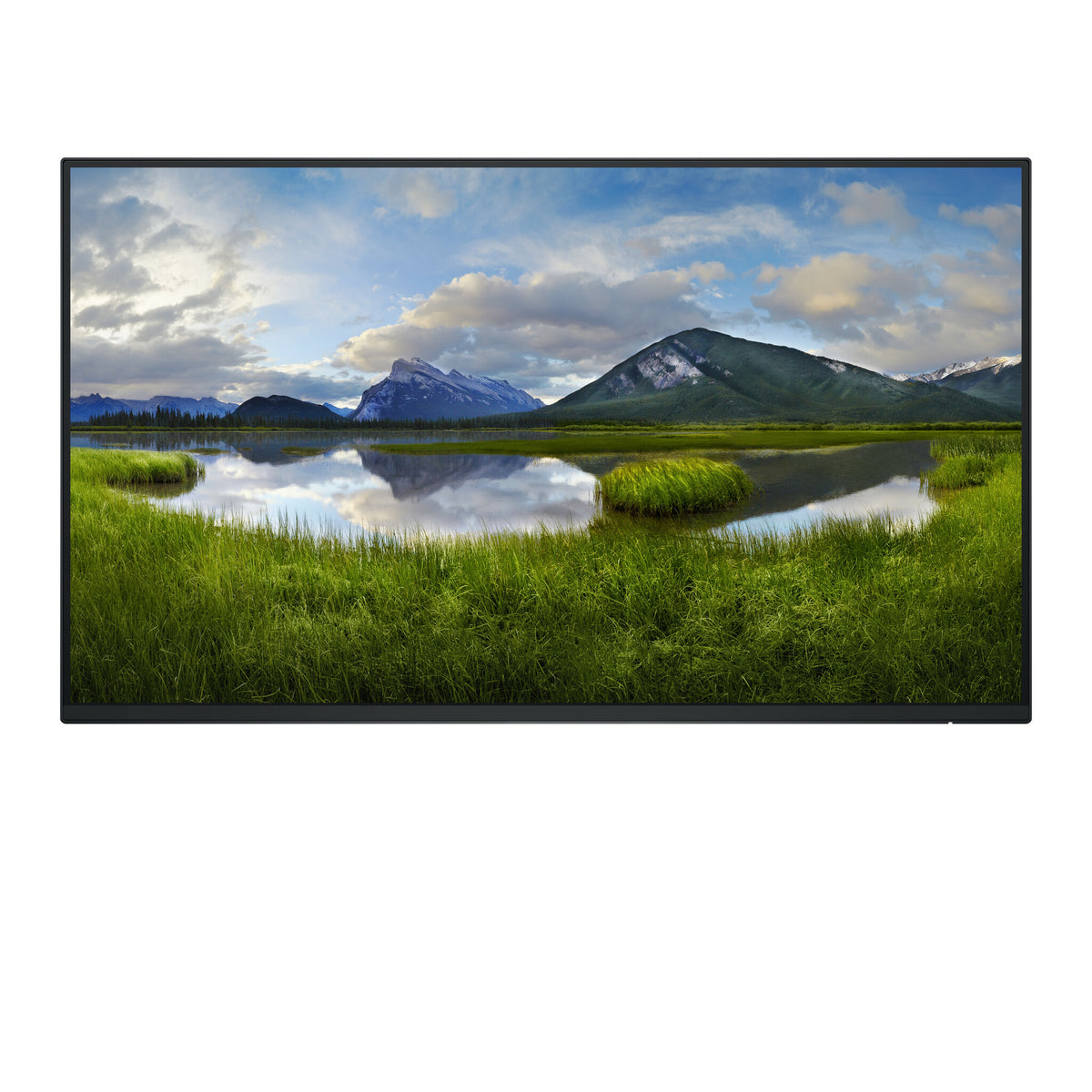 DELL P Series P2425H_WOST - 61 cm (24&quot;) - 1920 x 1080 pixels Full HD LCD Monitor (No Stand)