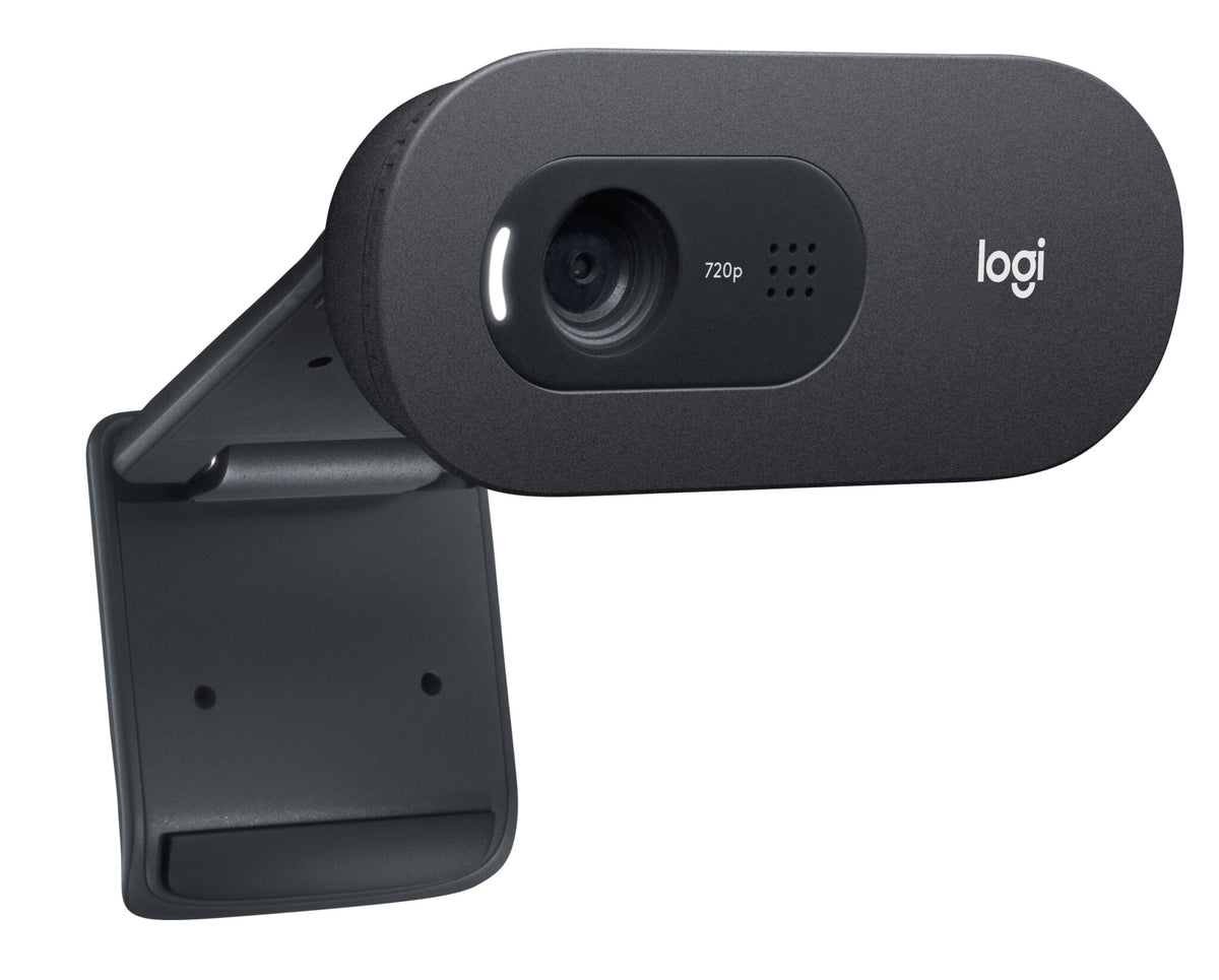 Logitech C505e - 1280 x 720p webcam