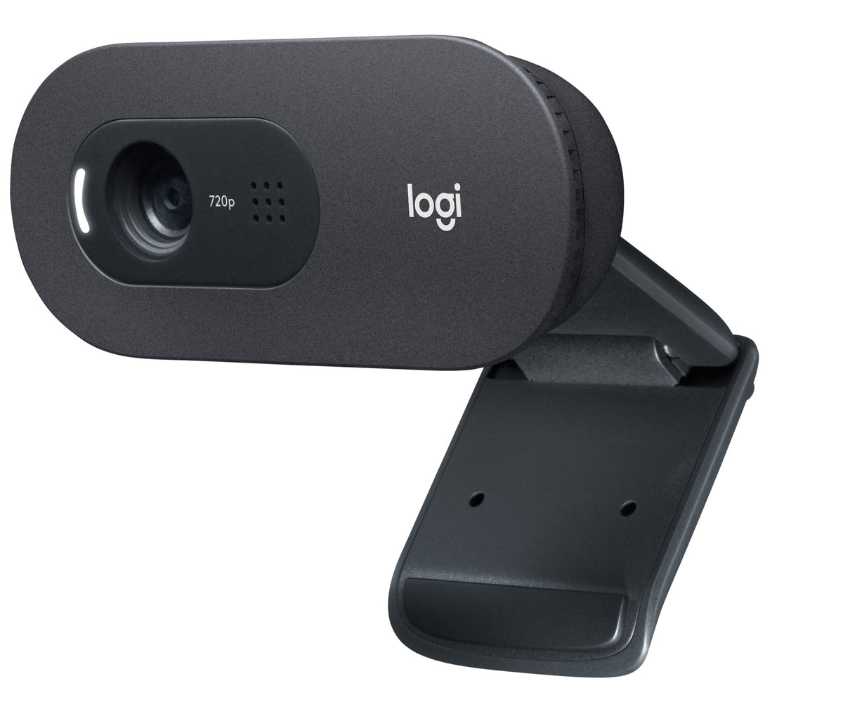 Logitech C505e - 1280 x 720p webcam